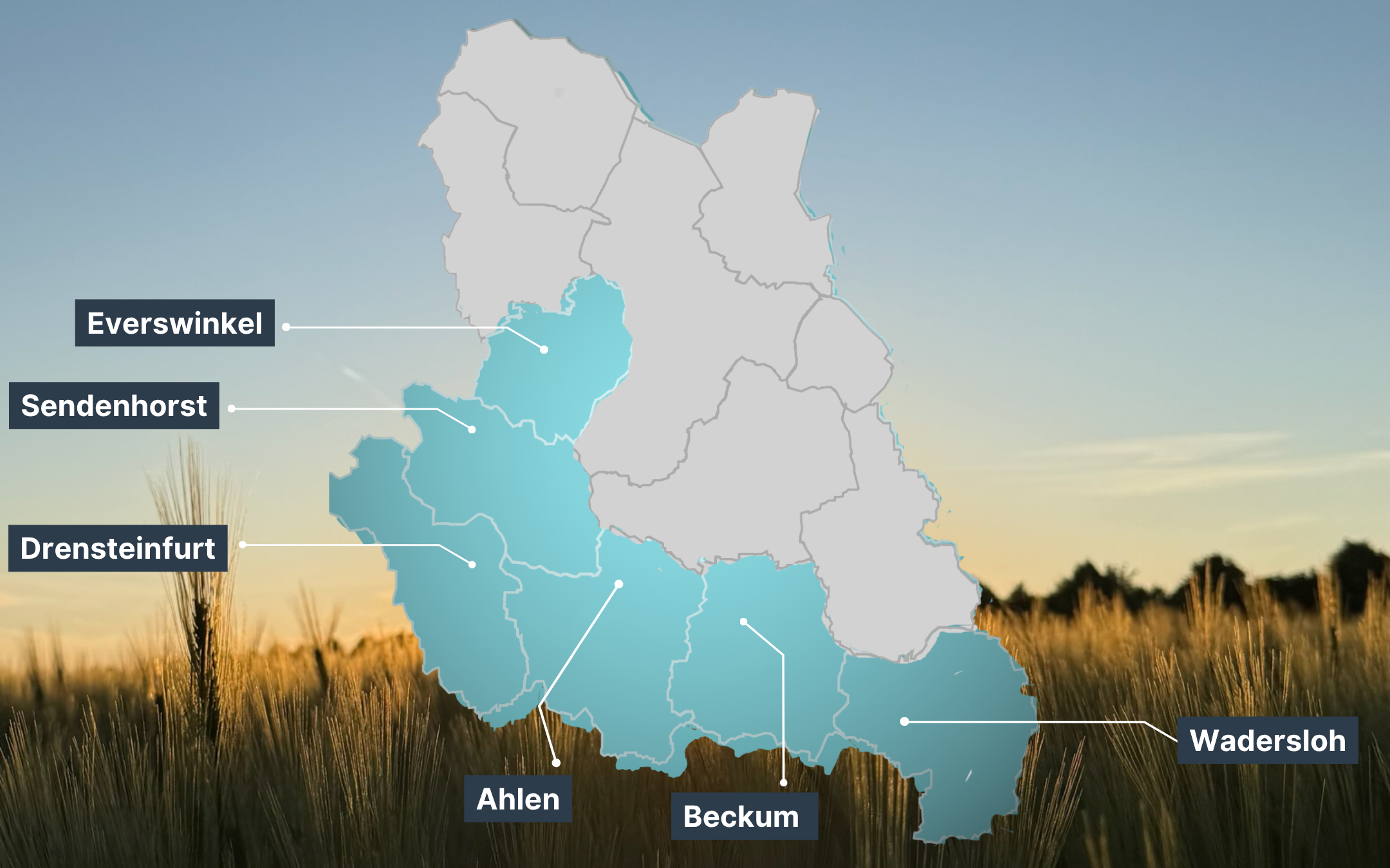 Mein Wahlkreis 